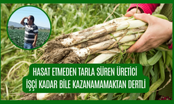 İşçi Az Buluyor, Çiftçi Ödeyemiyor