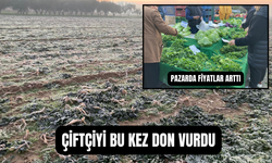 Çiftçiyi bu kez don vurdu