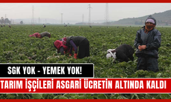 Torbalı'da tarım işçilerine ‘sefalet’ yevmiyesi!