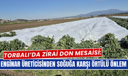 Soğuk Alarmı… Enginarlar Örtüyle Korunuyor