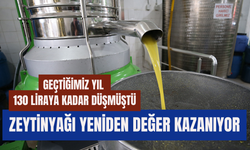 Zeytinyağı Yeniden Değer Kazanıyor