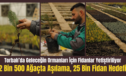 Torbalı Orman Fidanlığı Dört Mevsim Üretiyor