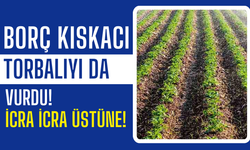 Yoğurtçular'da İki Taşınmaz Mahkemeden Satışa Çıktı