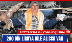Torbalılıların sevdası güvercinler…