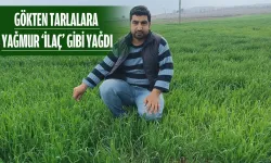 Yerin altı da bayram etti üstü de