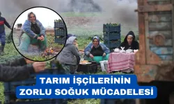 Dondurucu havada ekmek mücadelesi
