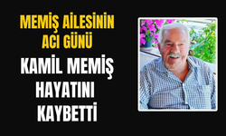 90 yıllık çınar hayatını kaybetti