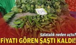 Fiyatı gören şaştı kaldı!