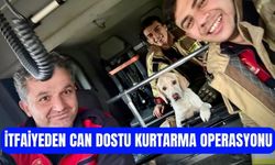 Yeniköy’de Can Dostuna İtfaiye Eli