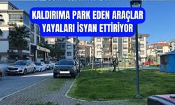 Kaldırıma Park Tepkisi