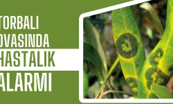 Müdürlük Uyardı…Halkalı Leke Hastalığında Mücadele Zamanı