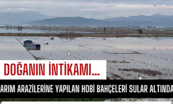 Tarım arazilerine yapılan hobi bahçeleri sular altında kaldı