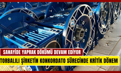 Sanayide yaprak dökümü devam ediyor