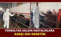 Torbalı’da salgın hastalıklara karşı sıkı denetim