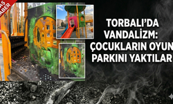 Bunun adı vandallık!