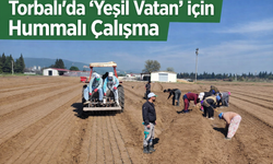 Torbalı Fidanlık Müdürlüğü’nde 2026 Fidan Üretimi Devam Ediyor