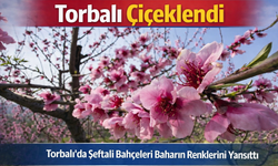 Torbalı’da Şeftali Bahçeleri Çiçek Açtı: Kartpostallık Görüntüler