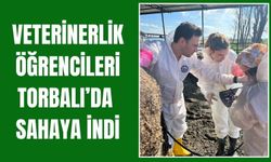 DEÜ Veterinerlik Öğrencileri Torbalı’da Sahaya İndi