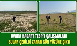 Torbalı Ovası’nda Hasar Tespiti Başladı