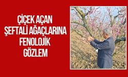 Torbalı’da Tarımda Sıkı Denetim