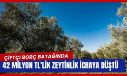 Torbalı’da 42 Milyonluk Zeytinlik İcradan Satışa Çıkıyor
