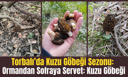 Ormandan Sofraya Servet: Kuzu Göbeği