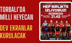 İki noktaya dev ekran kurulacak