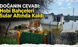 Doğa Uyardı: Hobi Bahçeleri Sulara Gömüldü