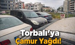 Araçların rengi değişti