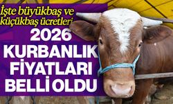 Kurban fiyatları cep yakacak