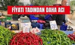 Torbalı Pazarında Rekor Acı Biberde: Kilosu 300 Lira