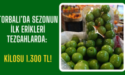 Torbalı’da Sezonun İlk Erikleri Tezgahlarda