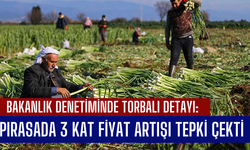 Bakanlık ifşa etti: Üretici kazanamazken aracı cebi dolduruyor