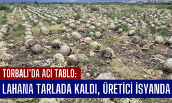 Lahana Tarlada Kaldı, Üretici İsyanda