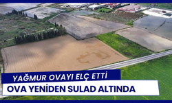 Torbalı'da tarım arazilerini sağanak vurdu: Üretici zamanla yarışıyor