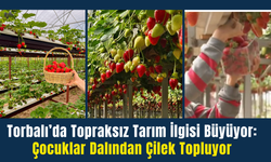 Torbalı’da Topraksız Tarım İlgisi Büyüyor