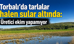 Torbalı’da tarlalar halen sular altında: Üretici ekim yapamıyor