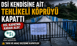 DSİ Kendisine ait tehlikeli köprüyü kapattı
