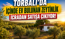 Torbalı’da İçinde Ev Bulunan Zeytinlik İcradan Satışa Çıkıyor