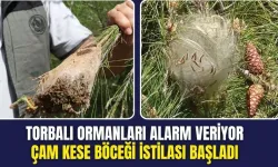 Torbalı Ormanlarında Tehlike Büyüyor