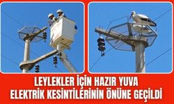 Leyleklere Özel Önlem: Direklere Hazır Yuva Kuruldu