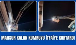 Torbalı’da Mahsur Kalan Kumruyu İtfaiye Kurtardı