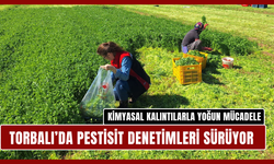 Kimyasal kalıntılarla yoğun mücadele