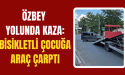 Torbalı Özbey Yolunda Kaza