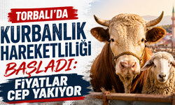 Torbalı’da kurbanlık hareketliliği başladı