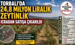 Torbalı’da 24,8 Milyon Liralık Zeytinlik İcradan Satışa Çıkarıldı