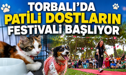 Can Dostlar İçin Festival Zamanı!