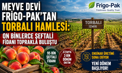 Torbalı'da Dev Şeftali Projesi Başladı