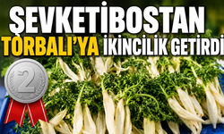Torbalı’dan Çıkan Proje İzmir İkincisi Oldu