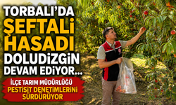 Torbalı’da Şeftali Hasadı Doludizgin Devam Ediyor